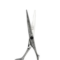 Ножиці перукарські SPL 90016-55