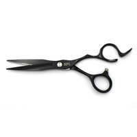 Ножиці перукарські SPL 90066-60